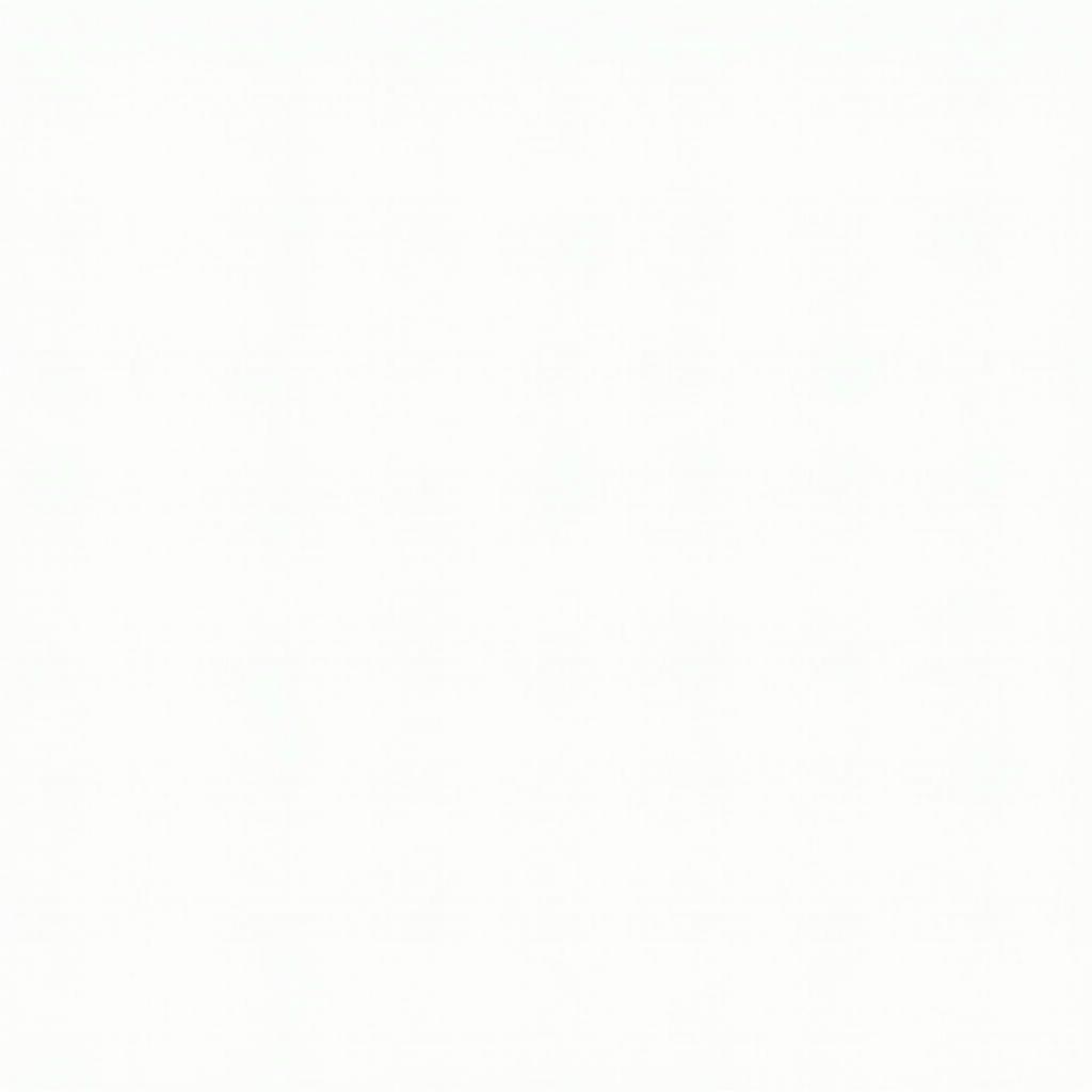 Bài tập thực hành Quantifiers All Most cho IELTS với đáp án chi tiết