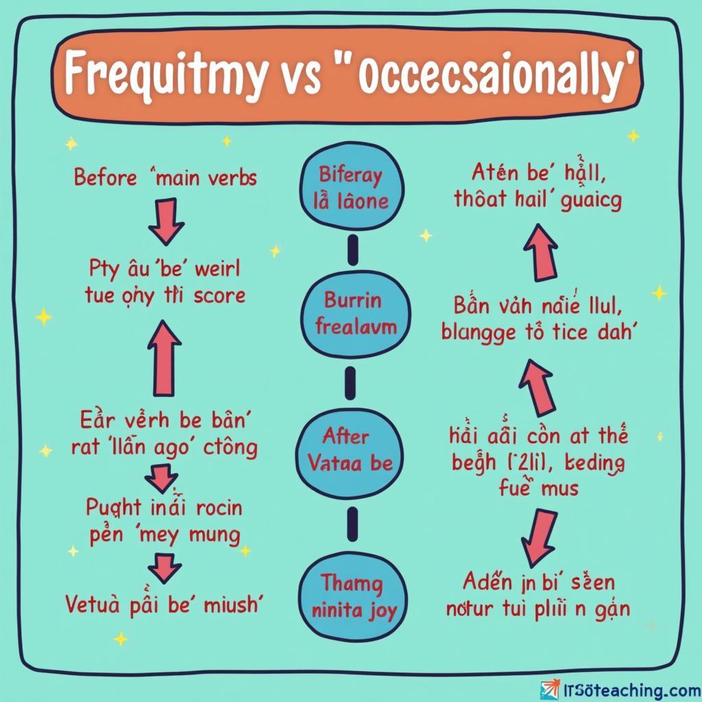 Sơ đồ vị trí các trạng từ tần suất sometimes và occasionally trong câu tiếng Anh IELTS